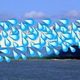 Image for article titled The Felicity Ace May Prove To Be A Huge Pollution Hazard